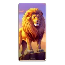 Lion
Safari